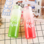 Homynest 1 Pcs Hello Master Water Bottle 480 ML – Multicolor Glass Bottle