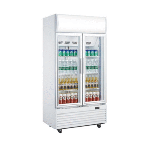 Visi Cooler Two Door